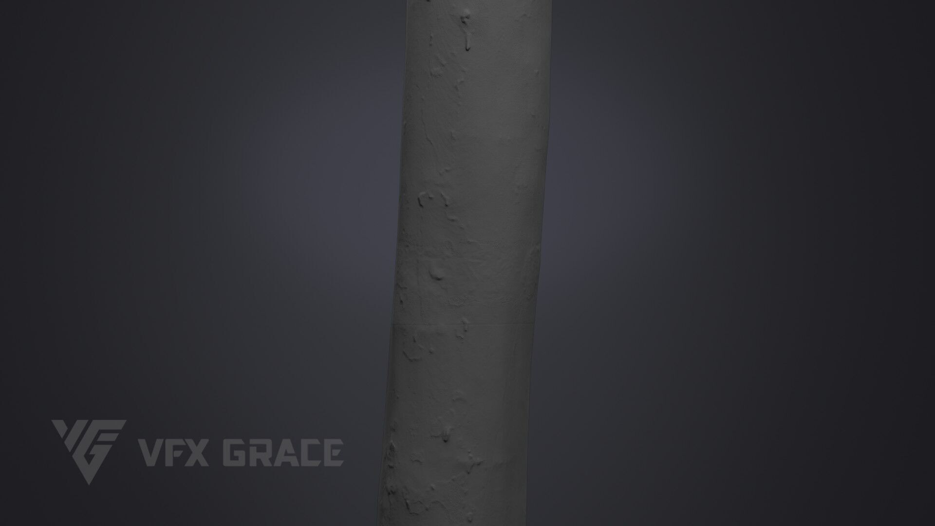 Plane Tree 005 3D model_8