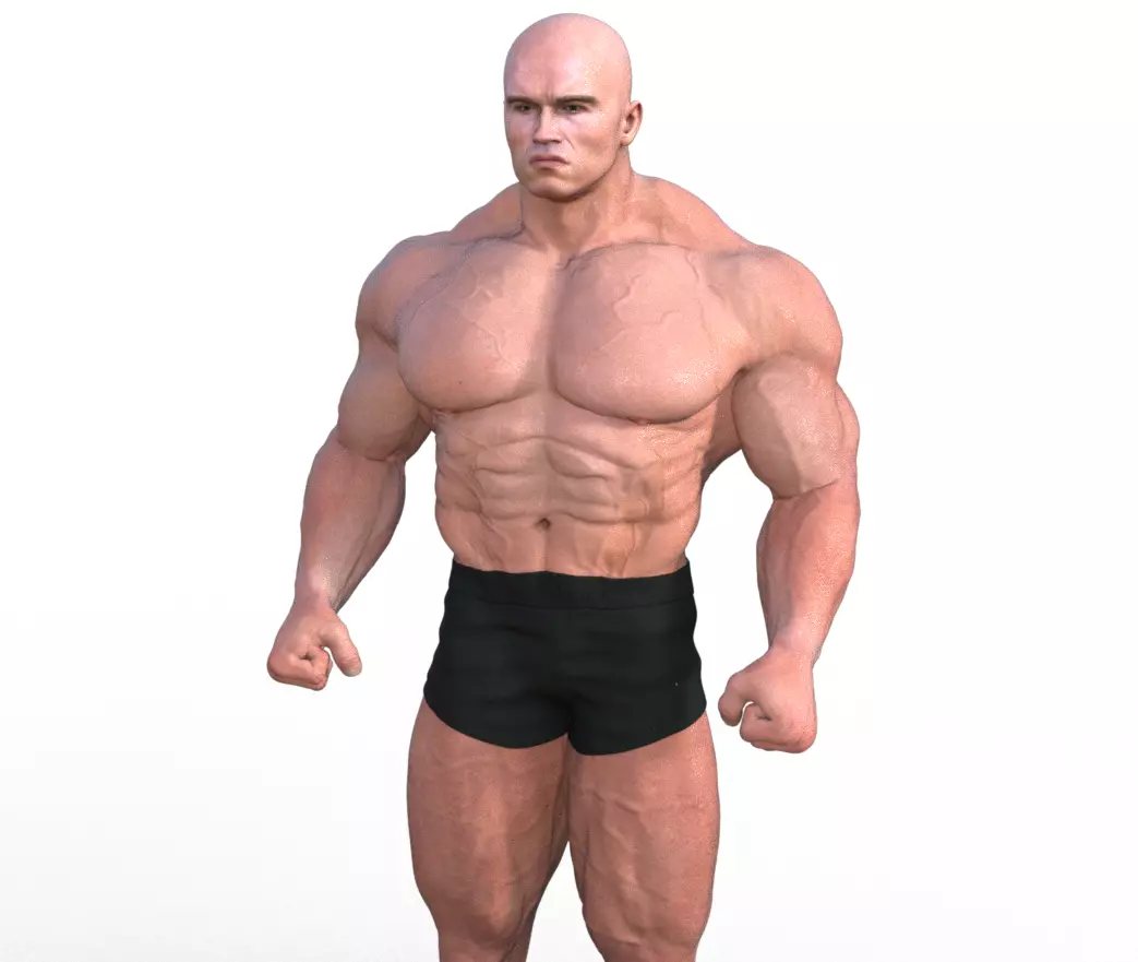 Arnold S Posing 3D print model_0