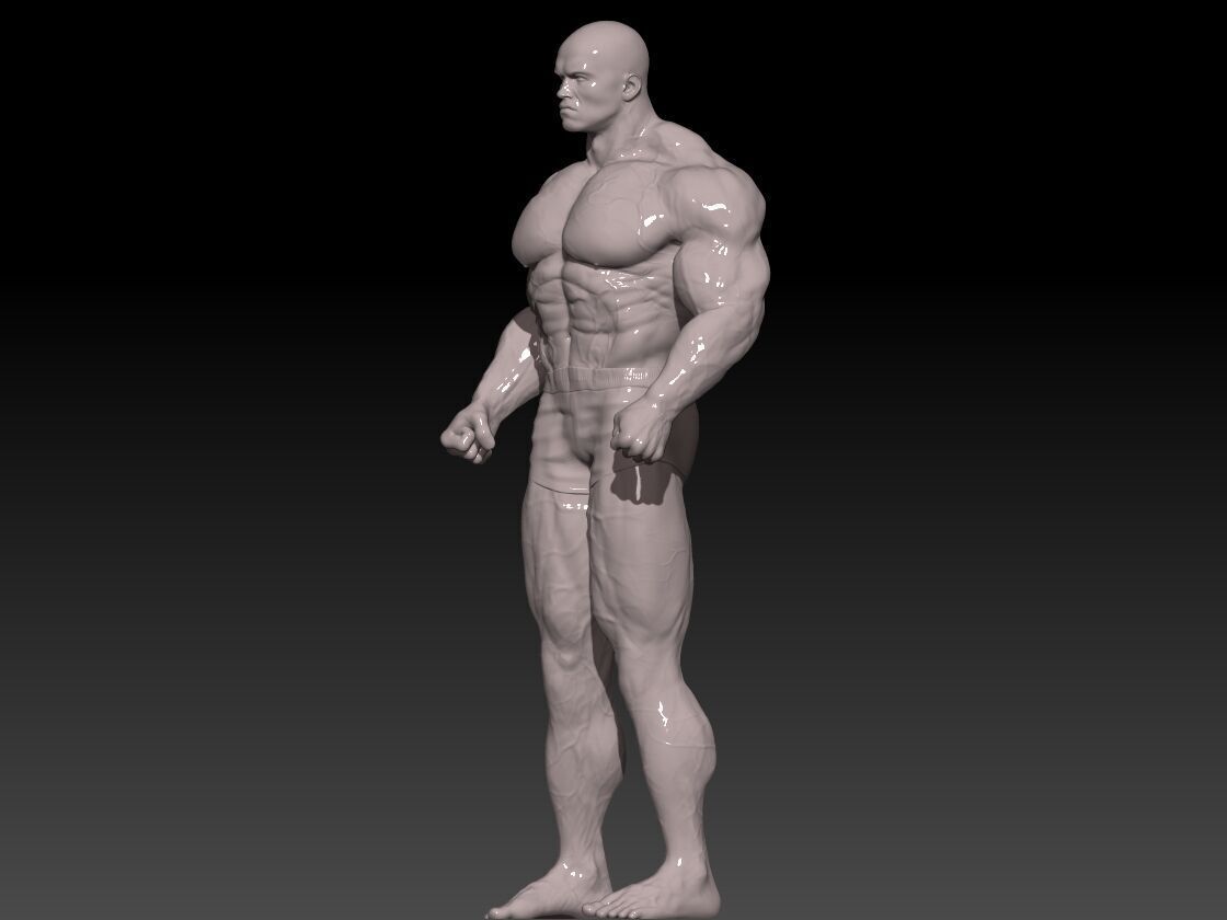 Arnold S Posing 3D print model_3