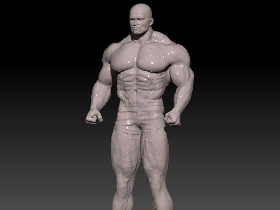 Arnold S Posing 3D print model_1