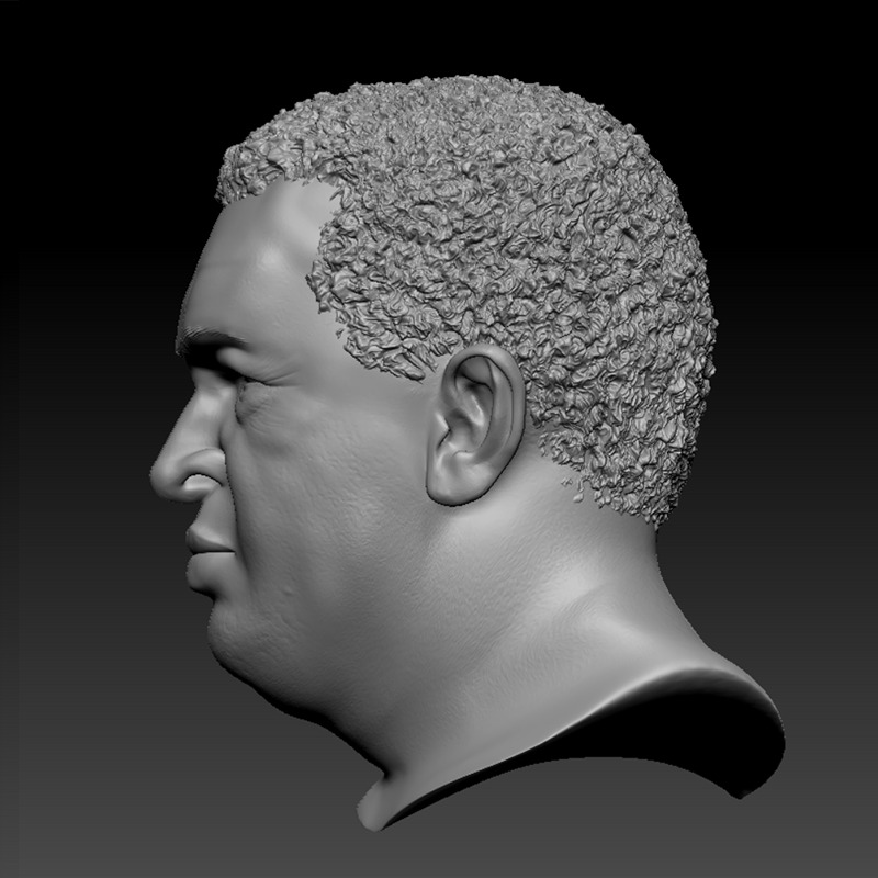 HUGO CHAVEZ HEAD SCULPTURE 3D PRINT MODEL 3D print model_6