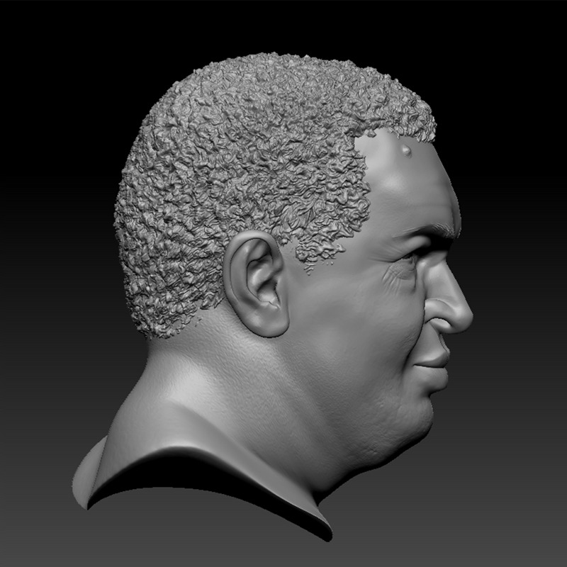 HUGO CHAVEZ HEAD SCULPTURE 3D PRINT MODEL 3D print model_2