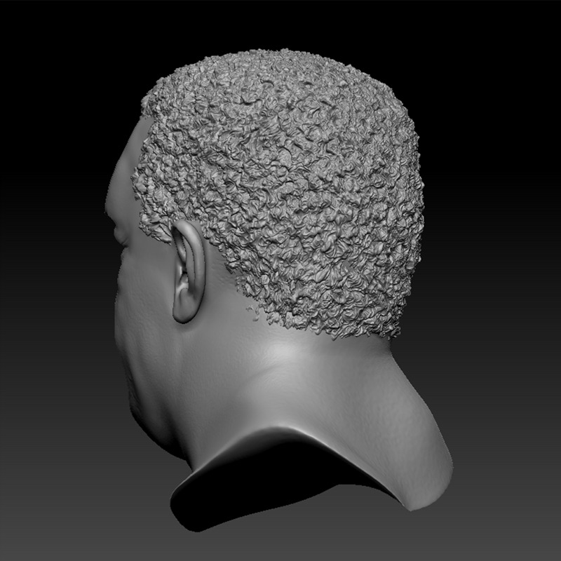 HUGO CHAVEZ HEAD SCULPTURE 3D PRINT MODEL 3D print model_5