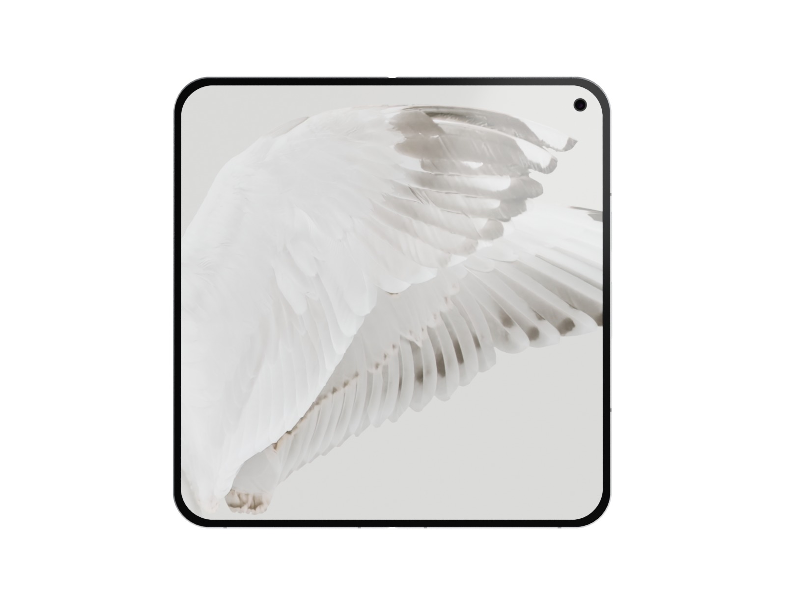 Google Pixel 9 And 9 Pro And Pro XL And Fold 2 Pack 3D Model Collection_3