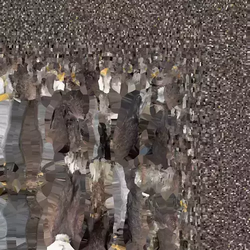 High Resolution Realistic Eagle  Detailed 3D Bird of Prey Model