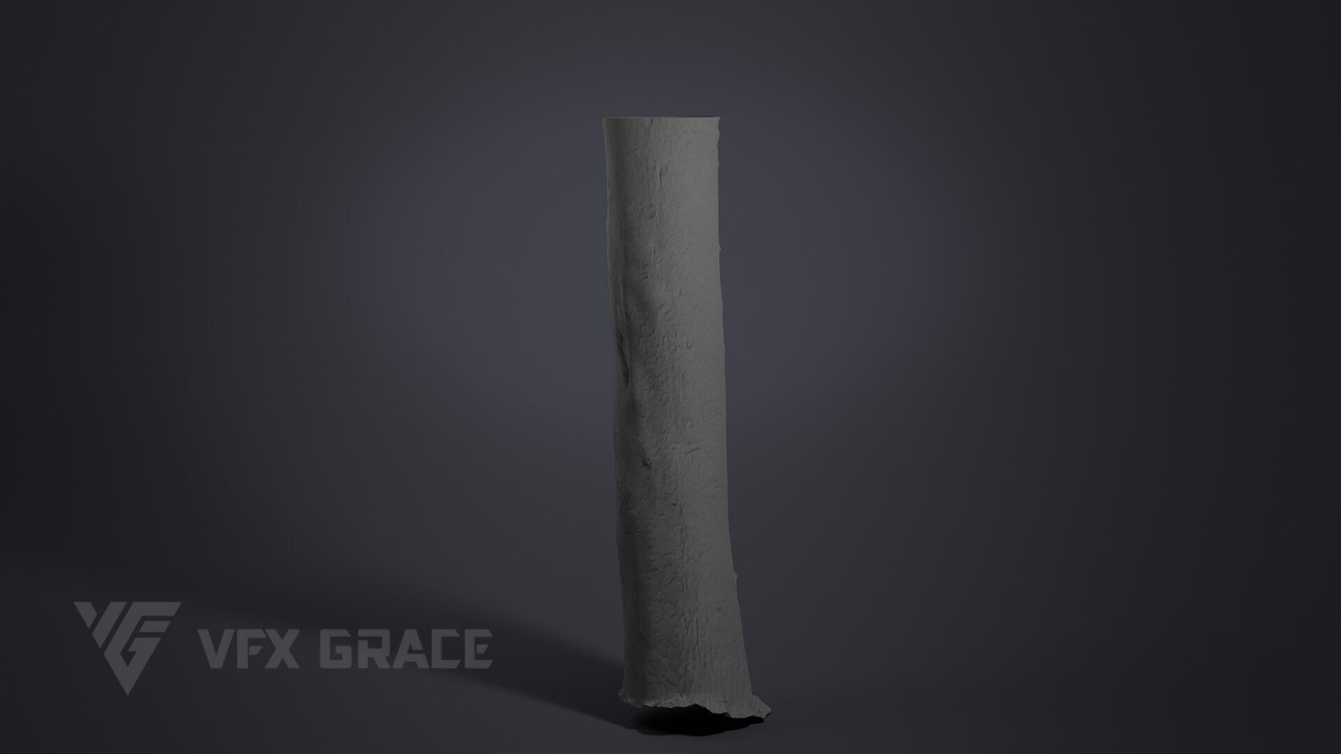 Pinus Bungeana 003 3D model_5