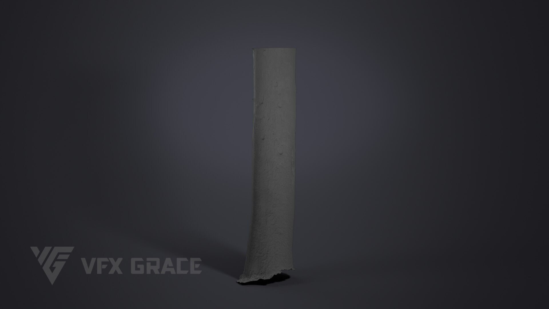 Pinus Bungeana 003 3D model_7