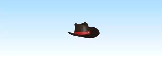 a cowboy hat 3D print model