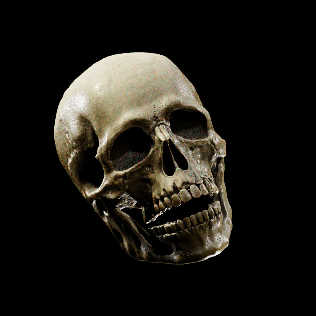 Human Skull Full Printable and Nanite Ready PBR 4K 3D print model_2