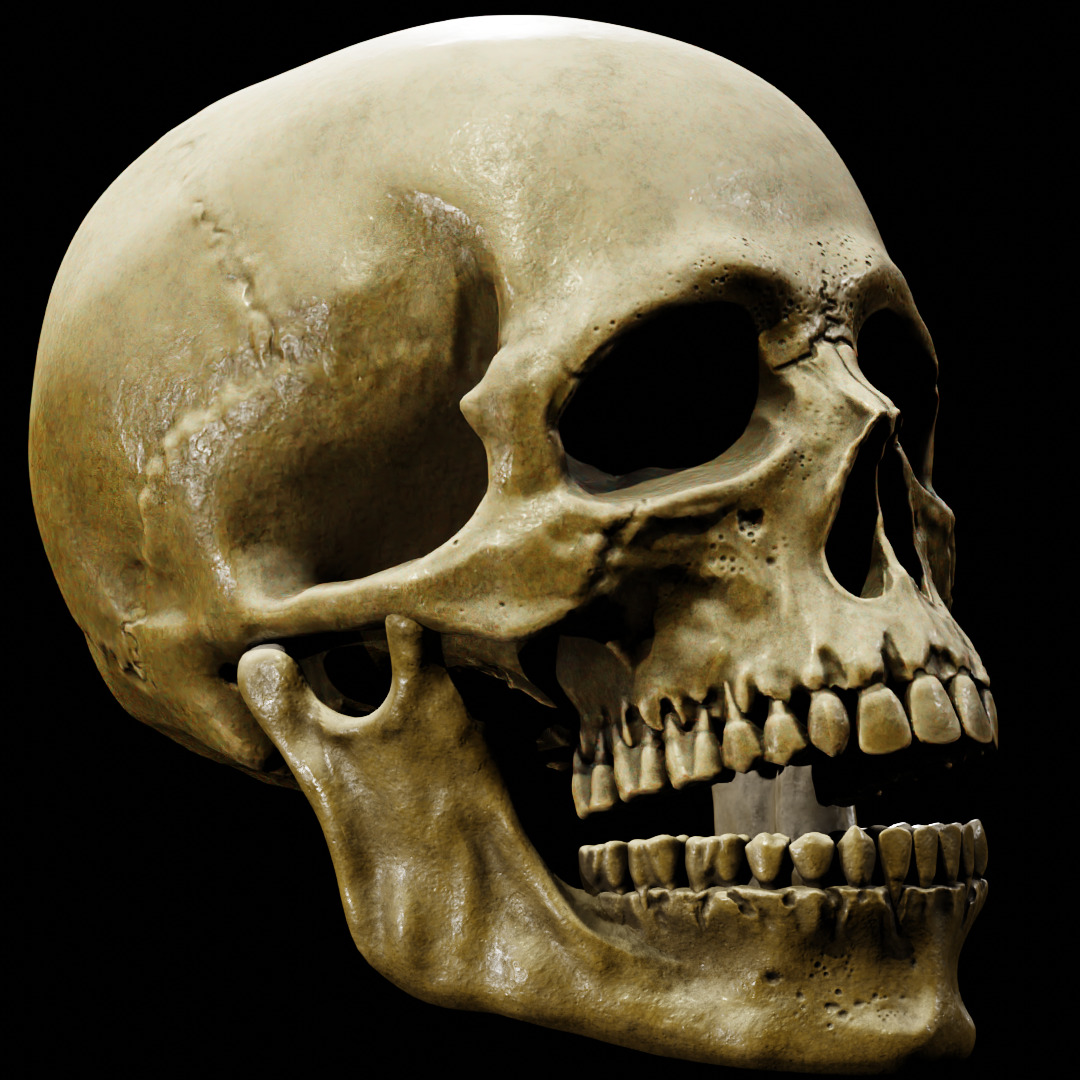 Human Skull Full Printable and Nanite Ready PBR 4K 3D print model_11