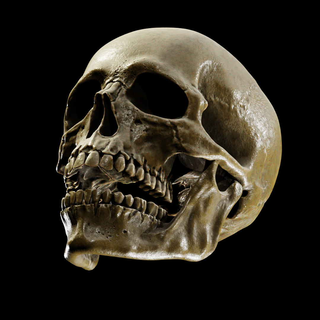 Human Skull Full Printable and Nanite Ready PBR 4K 3D print model_17