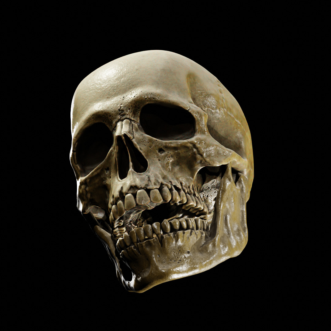 Human Skull Full Printable and Nanite Ready PBR 4K 3D print model_20