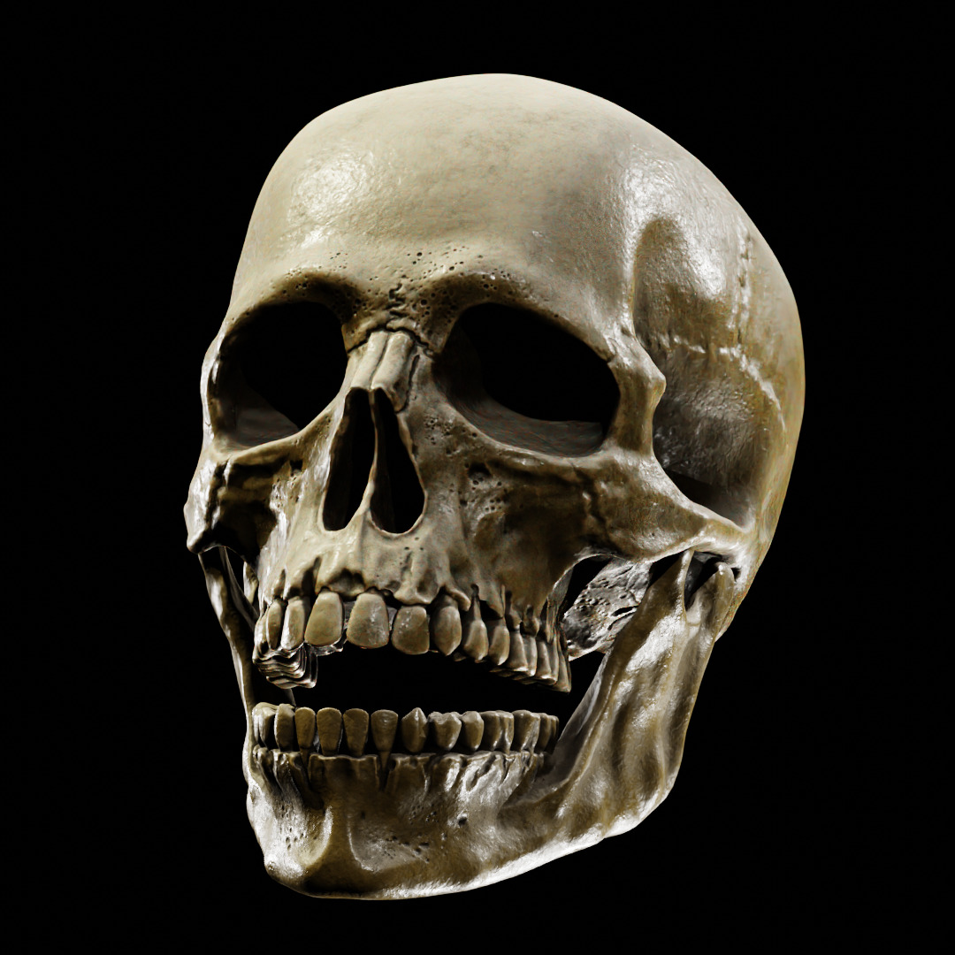 Human Skull Full Printable and Nanite Ready PBR 4K 3D print model_12