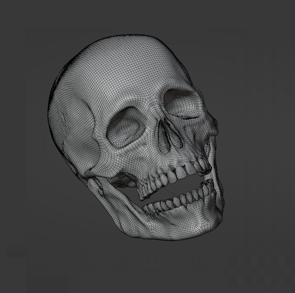 Human Skull Full Printable and Nanite Ready PBR 4K 3D print model_3
