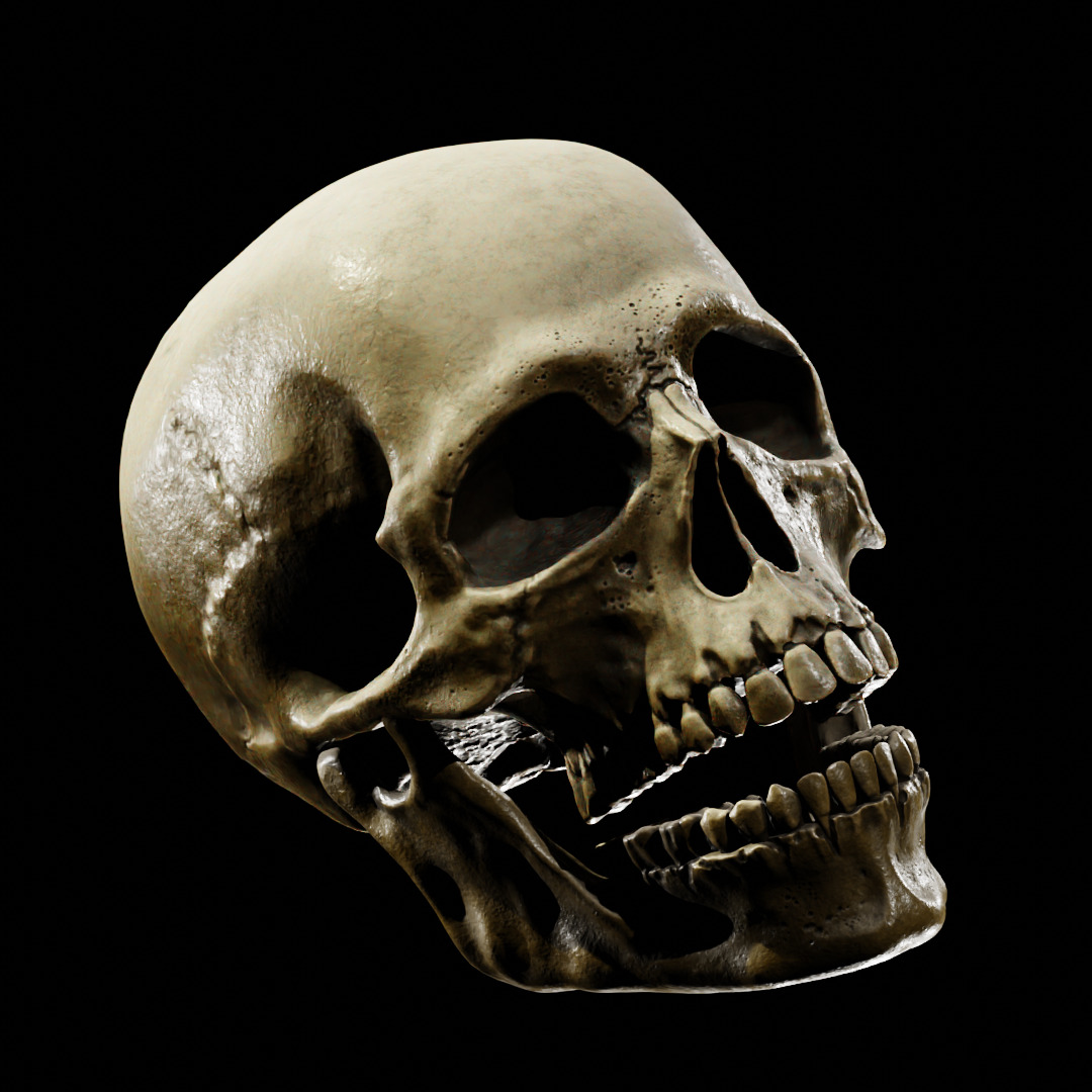 Human Skull Full Printable and Nanite Ready PBR 4K 3D print model_13