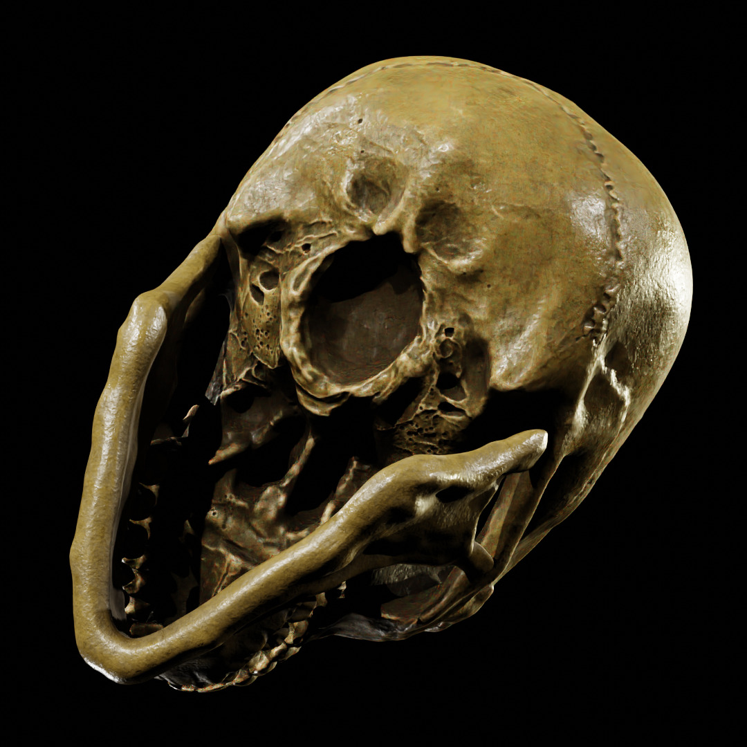 Human Skull Full Printable and Nanite Ready PBR 4K 3D print model_6