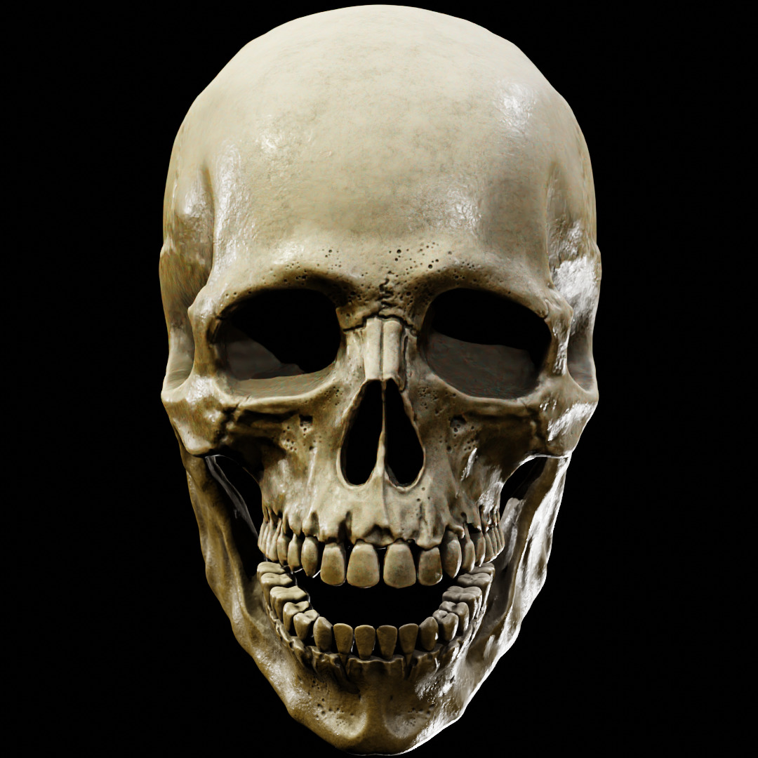 Human Skull Full Printable and Nanite Ready PBR 4K 3D print model_14