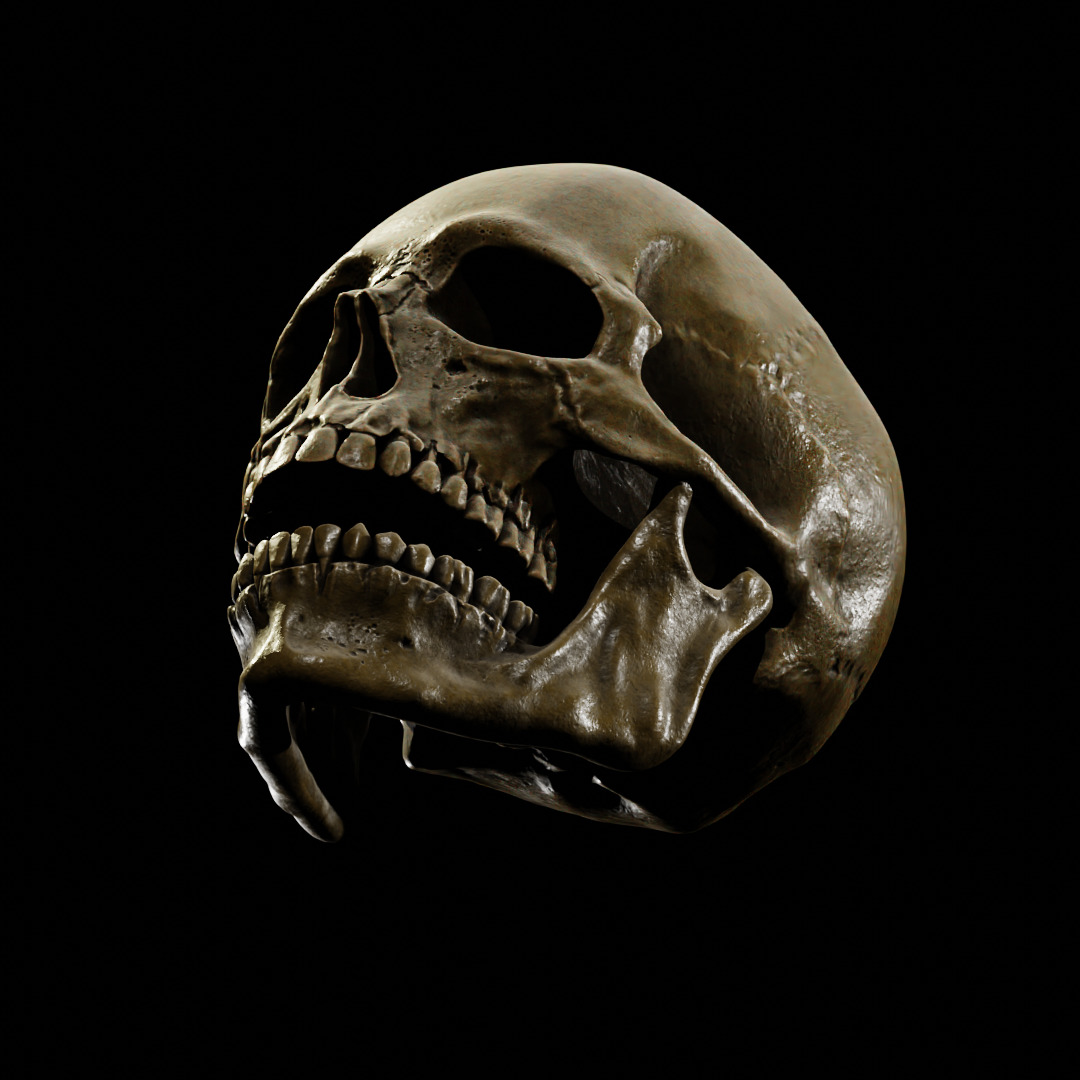 Human Skull Full Printable and Nanite Ready PBR 4K 3D print model_10