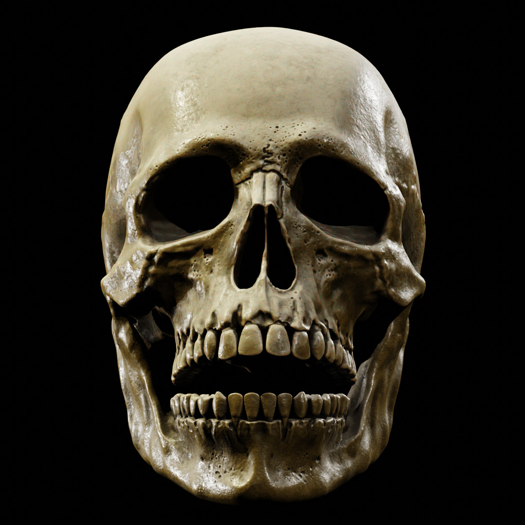Human Skull Full Printable and Nanite Ready PBR 4K 3D print model_19
