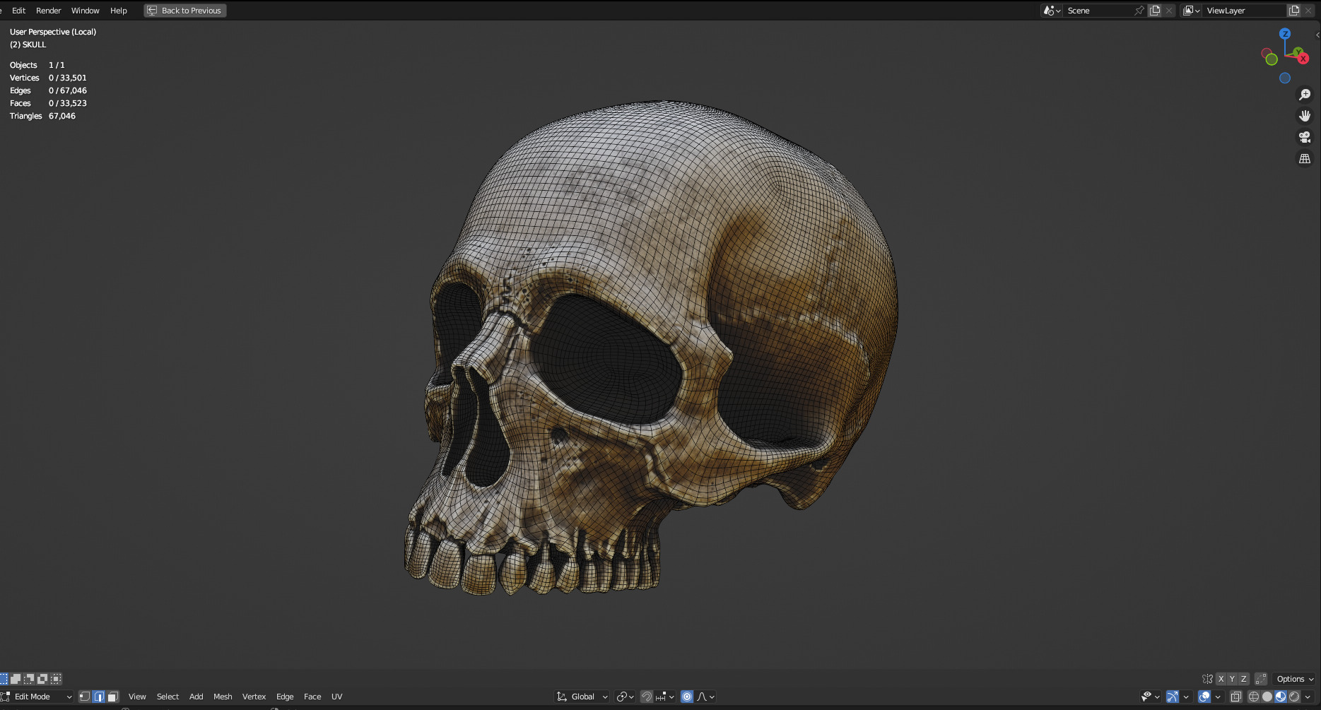 Human Skull Full Printable and Nanite Ready PBR 4K 3D print model_16
