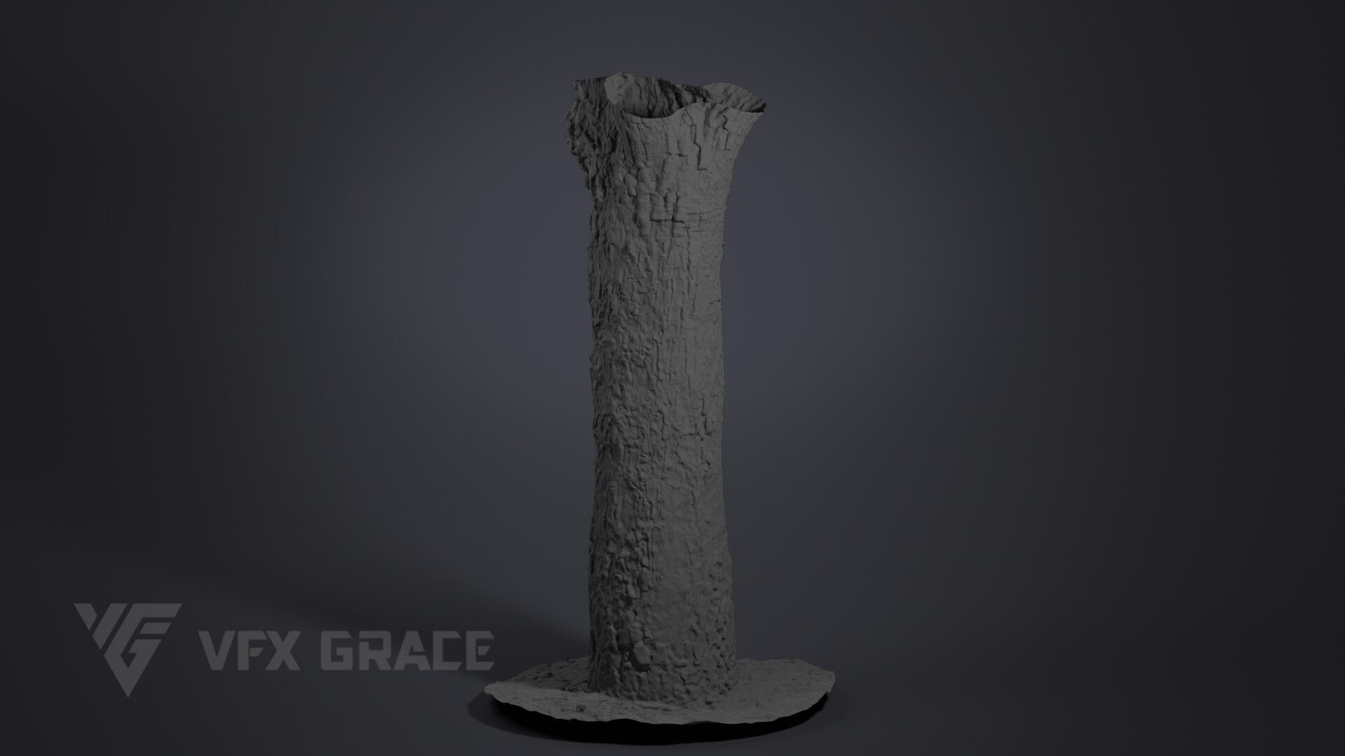 Pear Tree 001 3D model_6