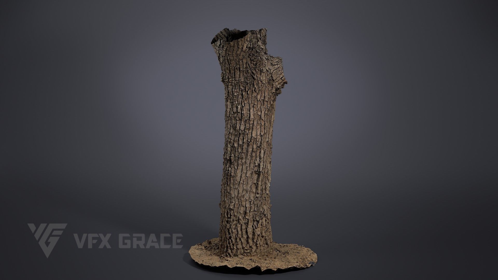 Pear Tree 001 3D model_1