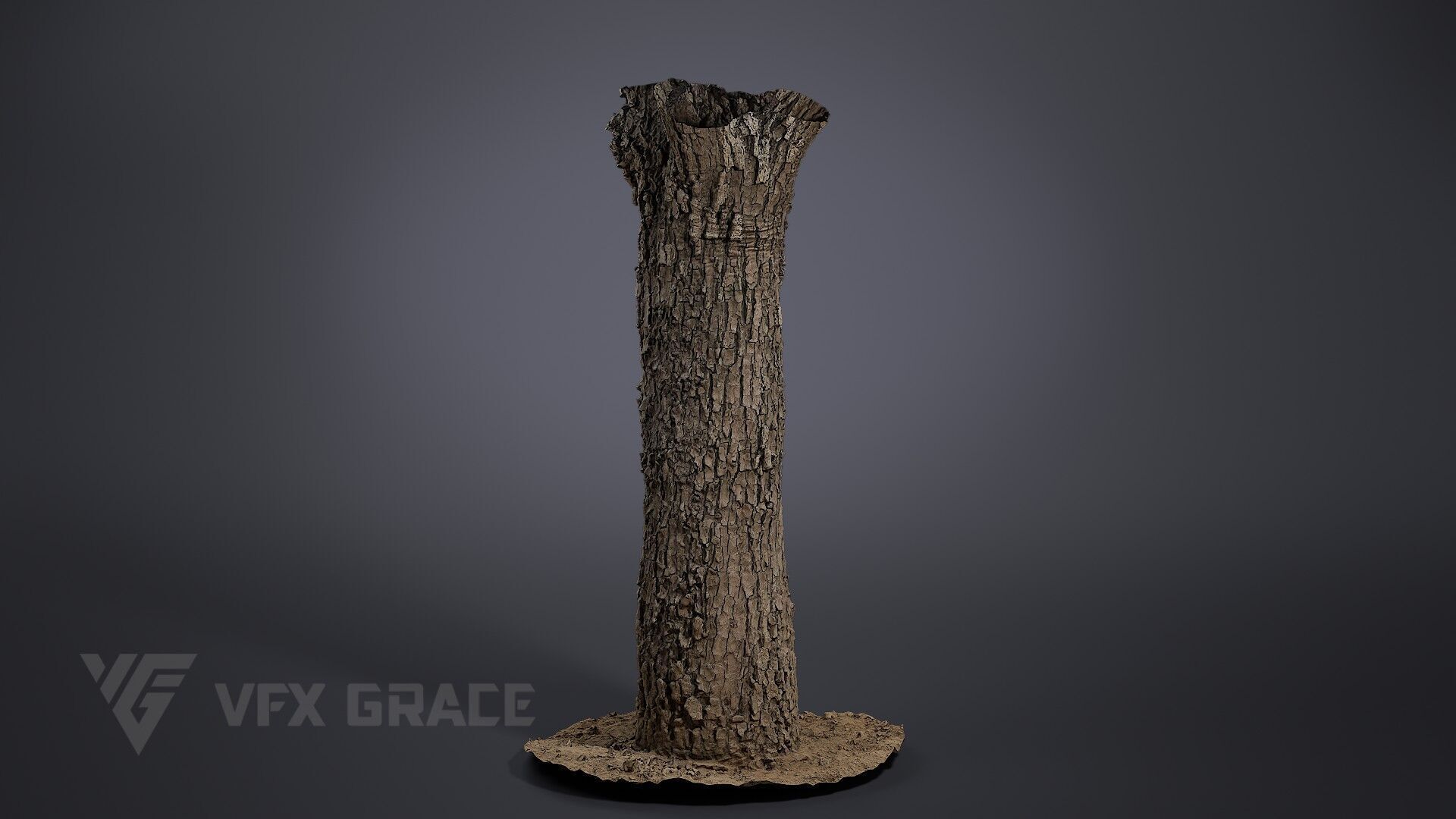 Pear Tree 001 3D model_2
