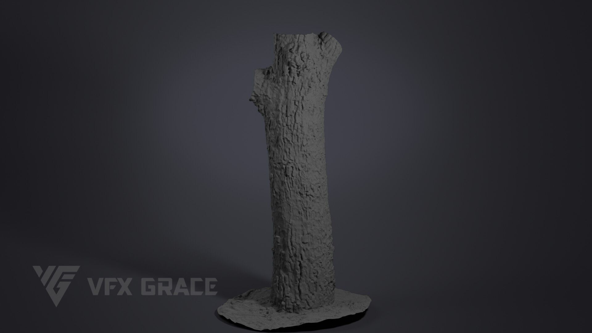 Pear Tree 001 3D model_7
