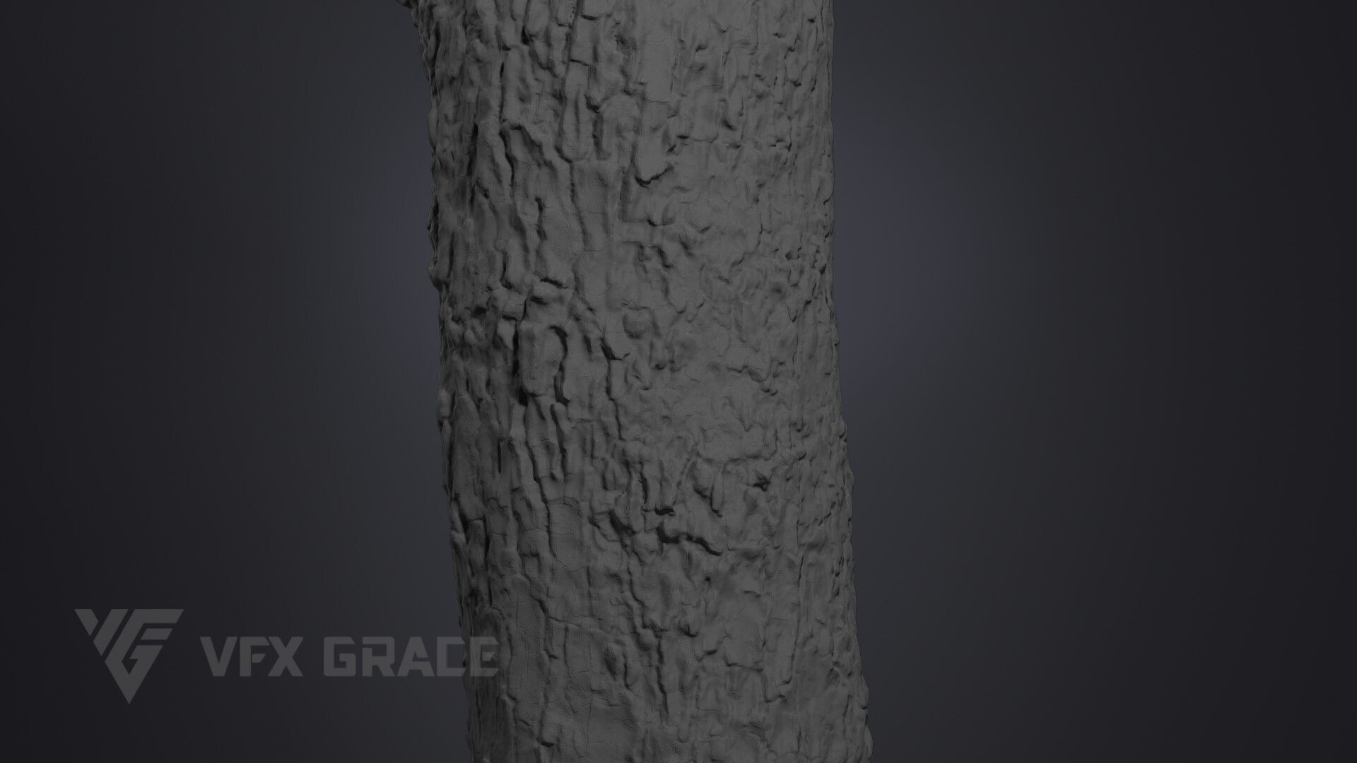 Pear Tree 001 3D model_8