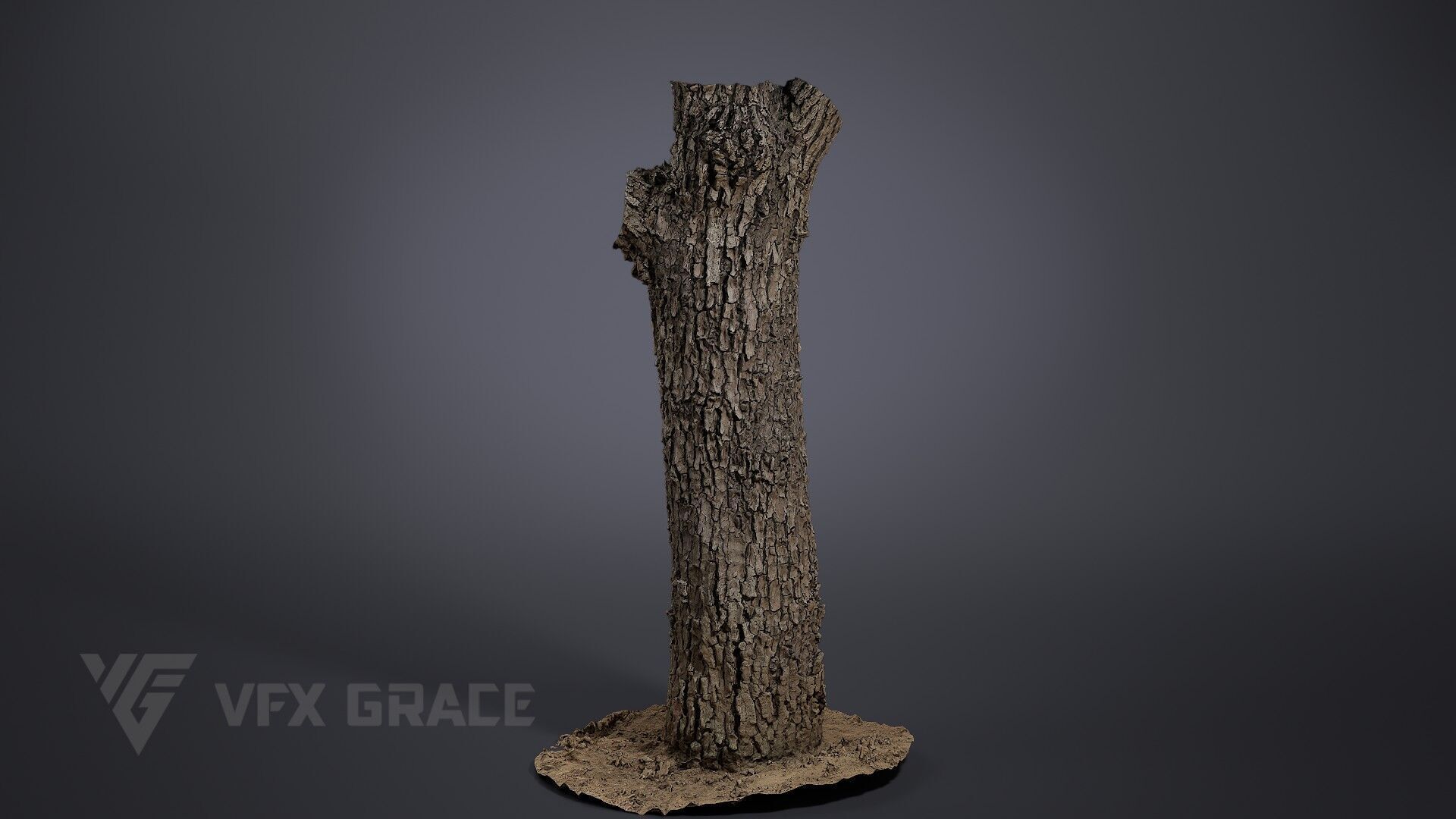 Pear Tree 001 3D model_3