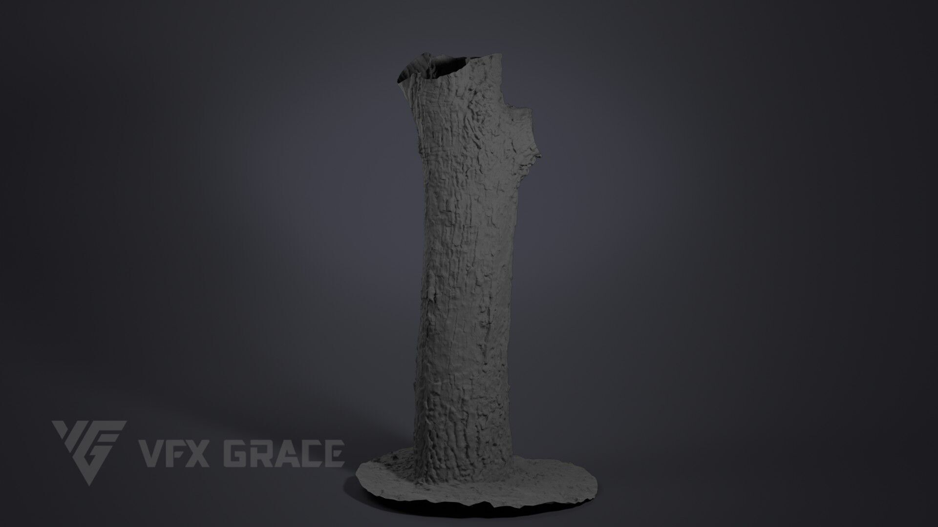 Pear Tree 001 3D model_5