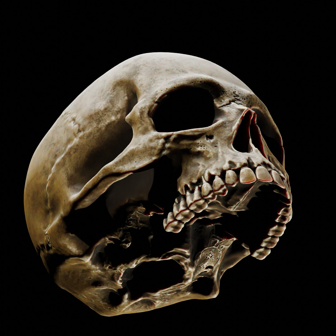 Human Top of Skull Printable and Nanite Ready PBR 4K 3D print model_10