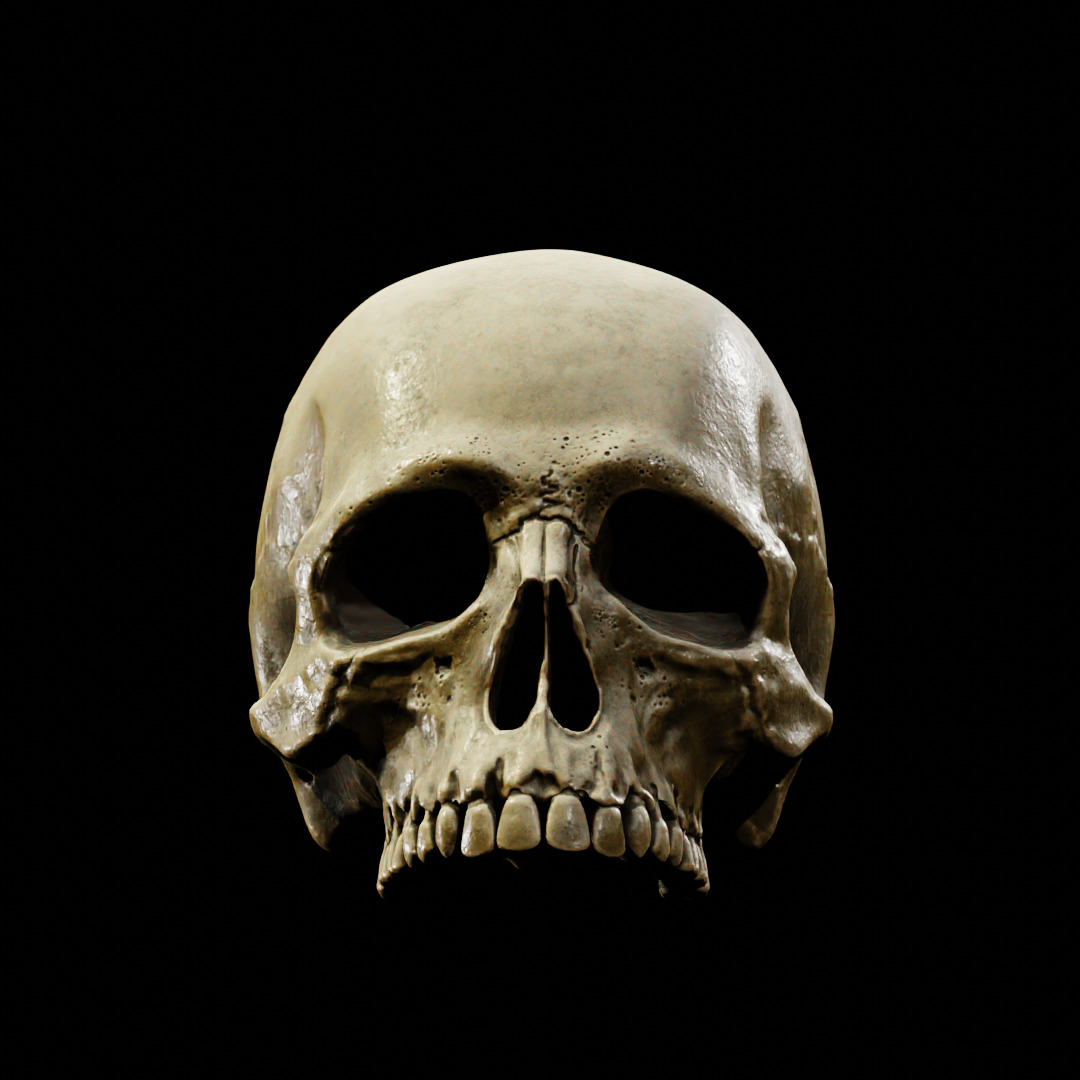 Human Top of Skull Printable and Nanite Ready PBR 4K 3D print model_12