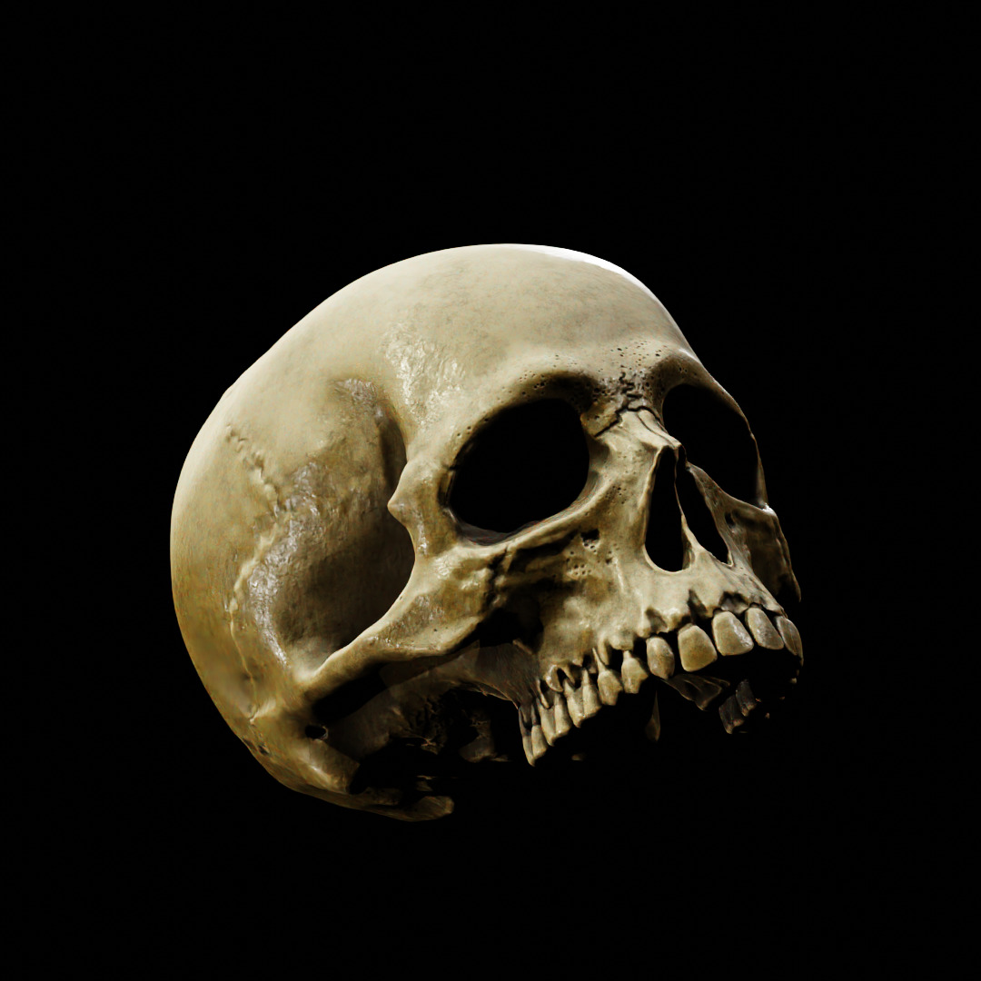 Human Top of Skull Printable and Nanite Ready PBR 4K 3D print model_17