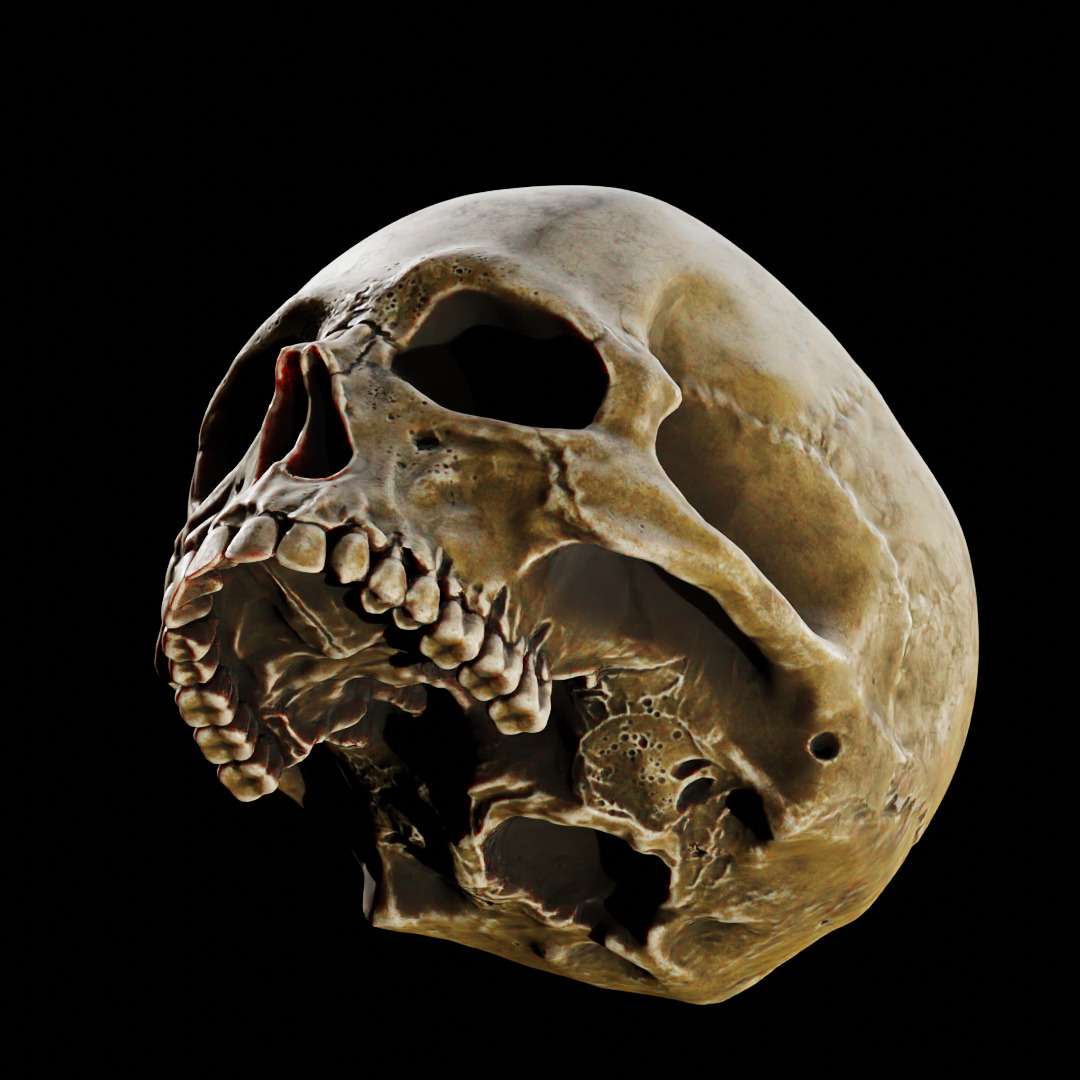 Human Top of Skull Printable and Nanite Ready PBR 4K 3D print model_11