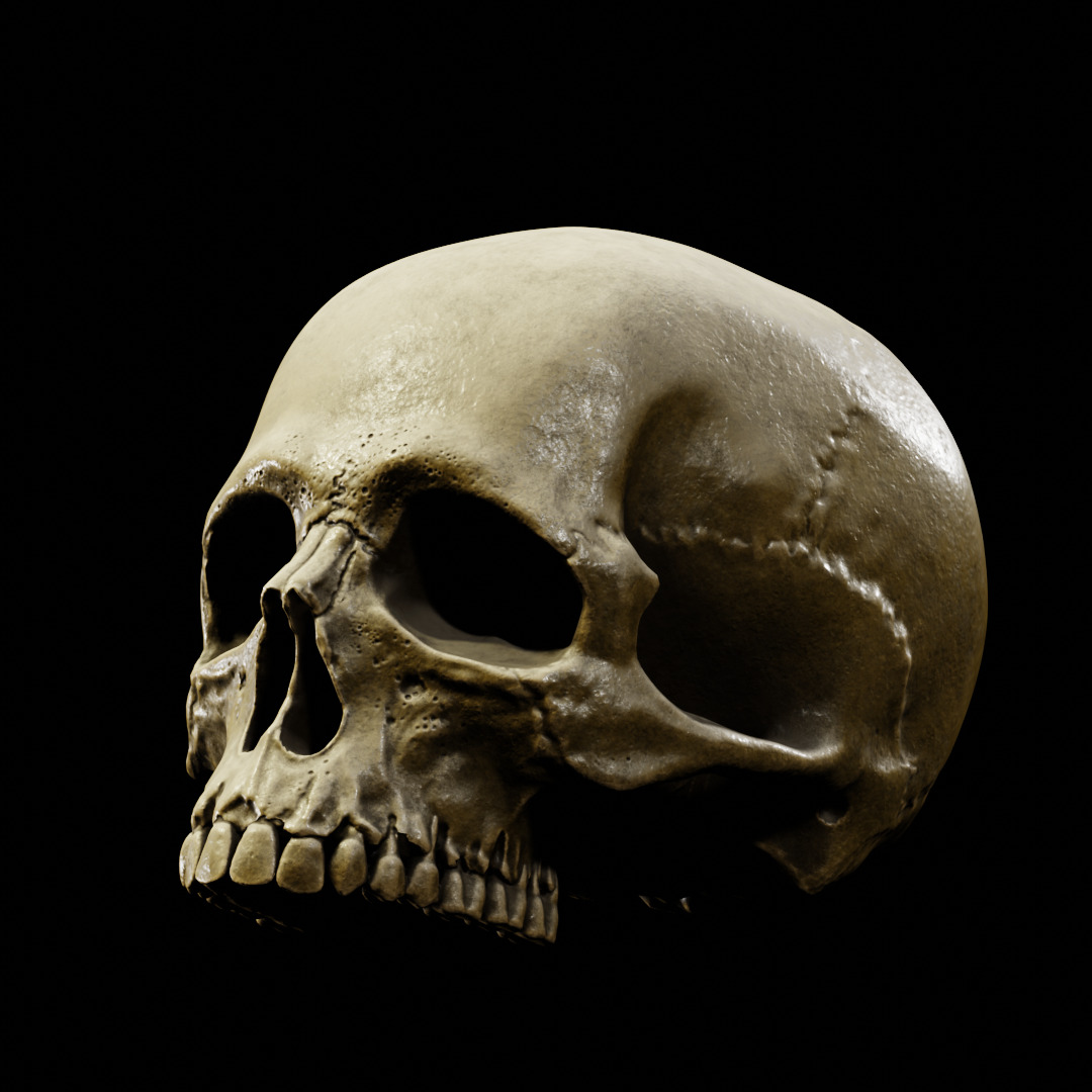 Human Top of Skull Printable and Nanite Ready PBR 4K 3D print model_4