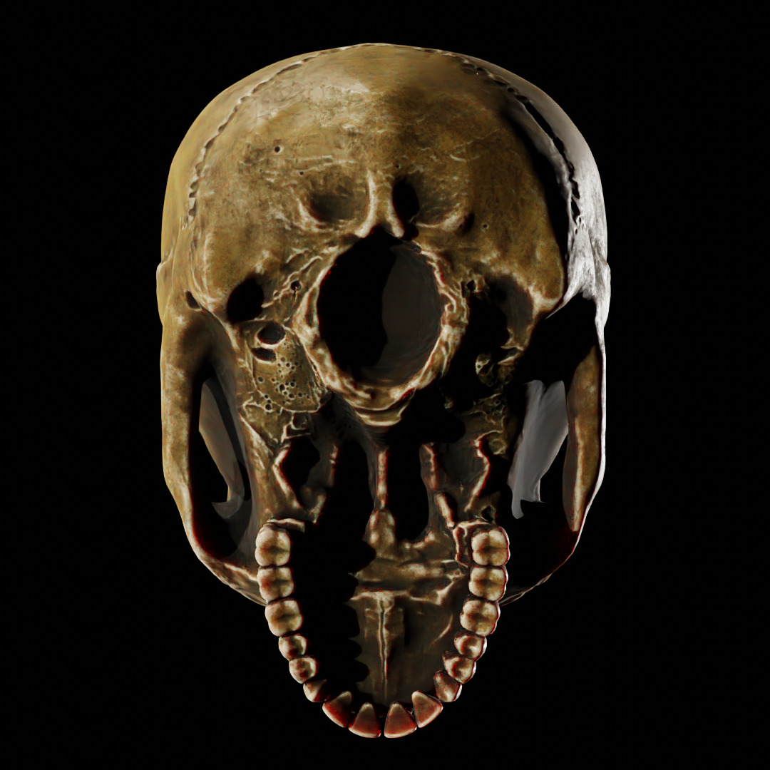 Human Top of Skull Printable and Nanite Ready PBR 4K 3D print model_9