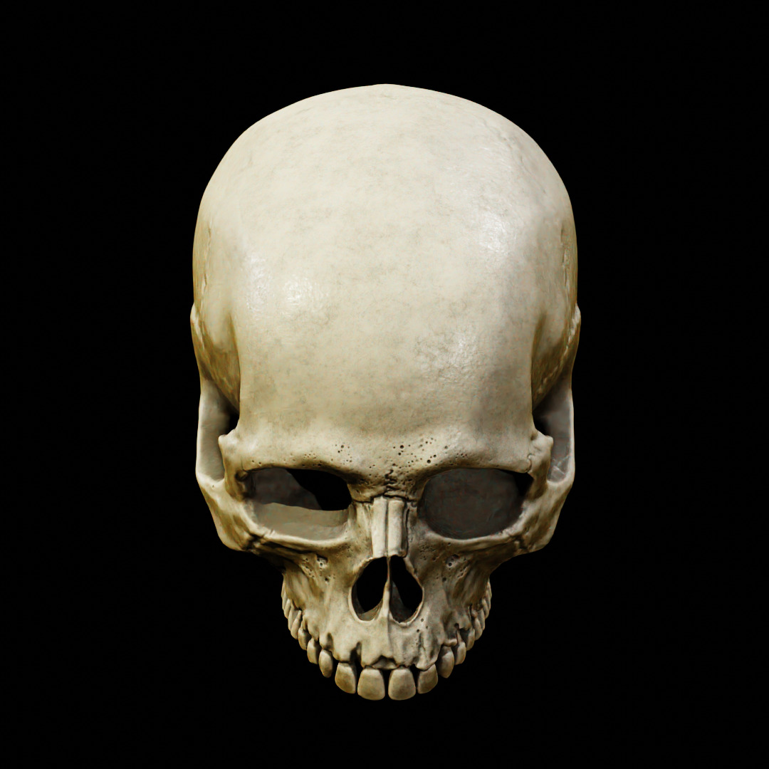 Human Top of Skull Printable and Nanite Ready PBR 4K 3D print model_14