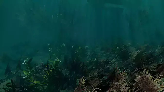 Underwater World Low-poly 3D model