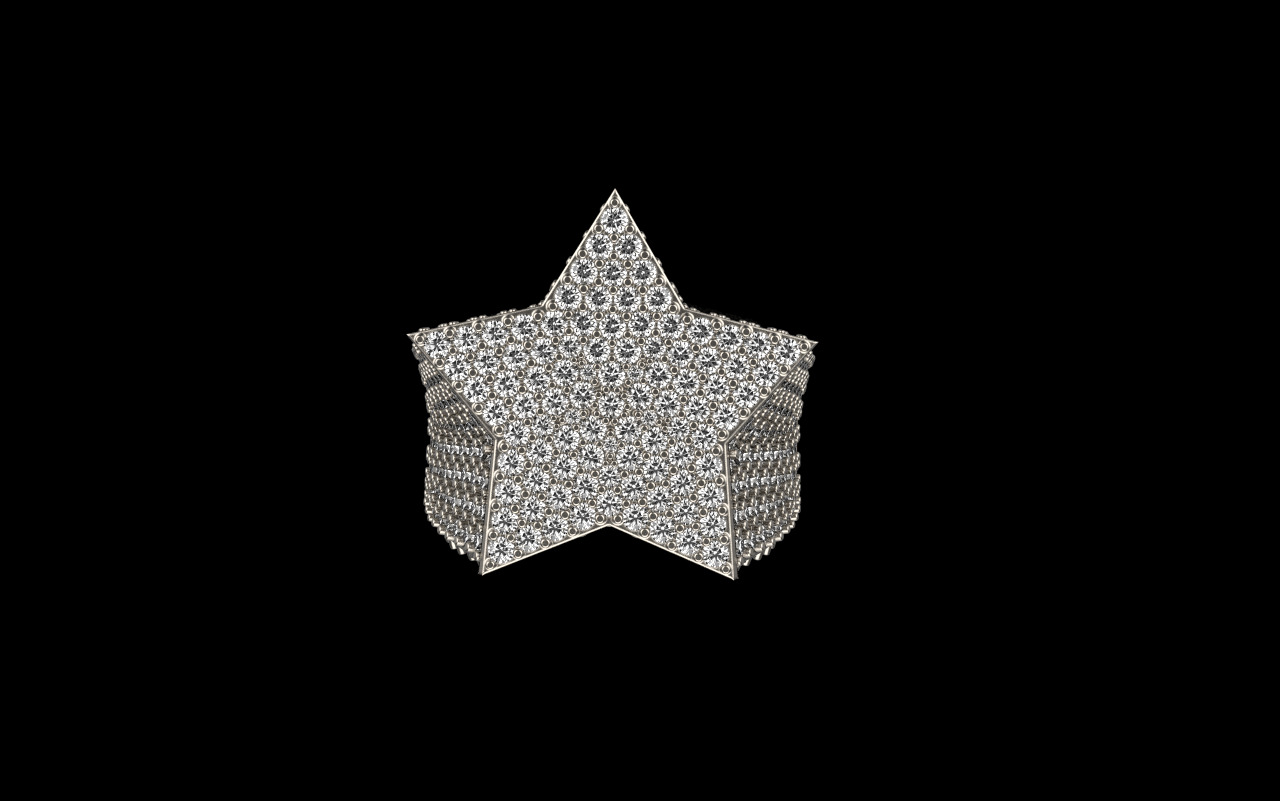 star ring model 797 3D print model_11