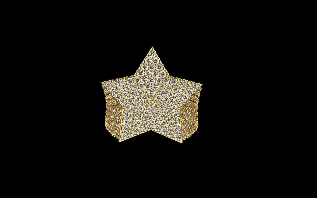 star ring model 797 3D print model_0