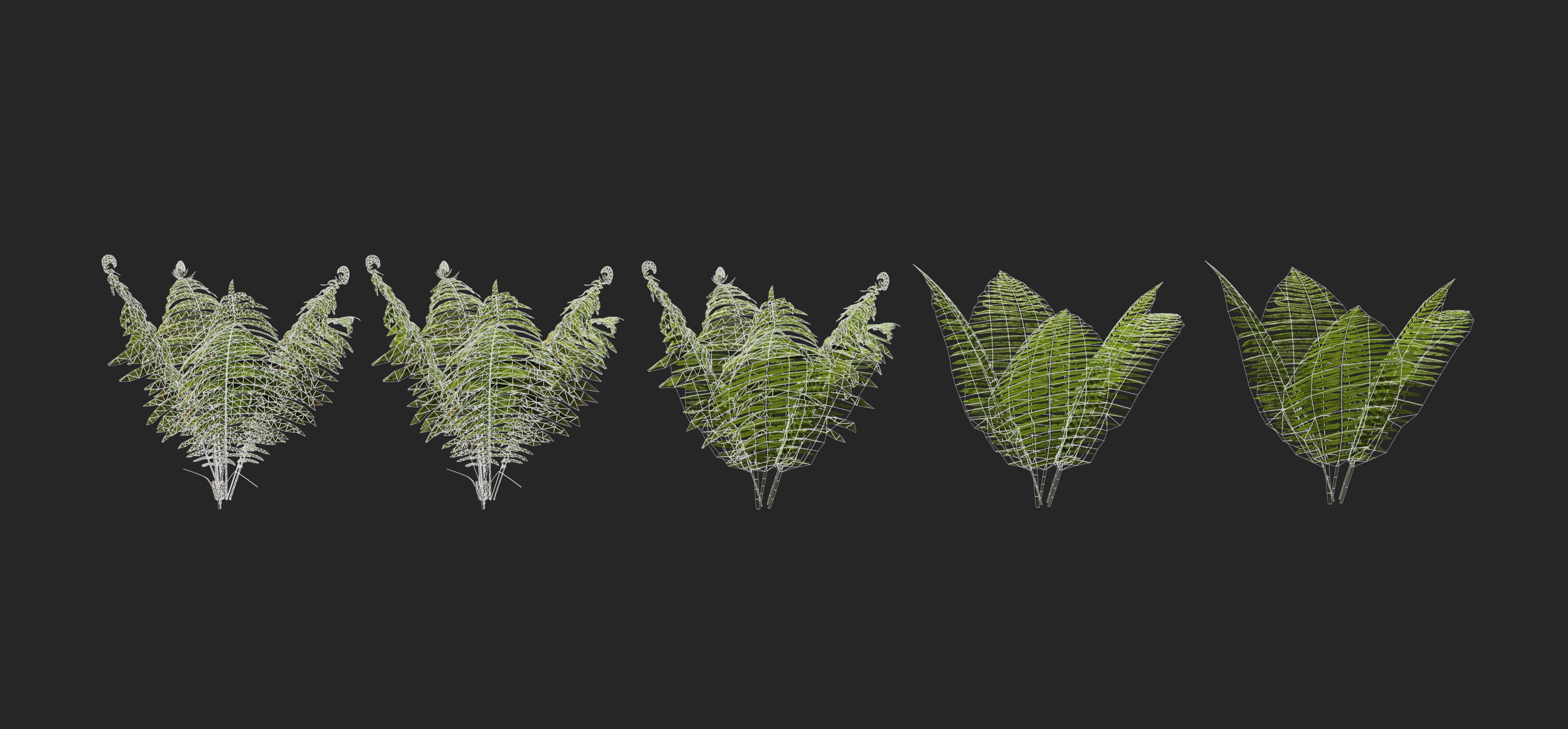 Ostrich Ferns plant Low-poly 3D model_4