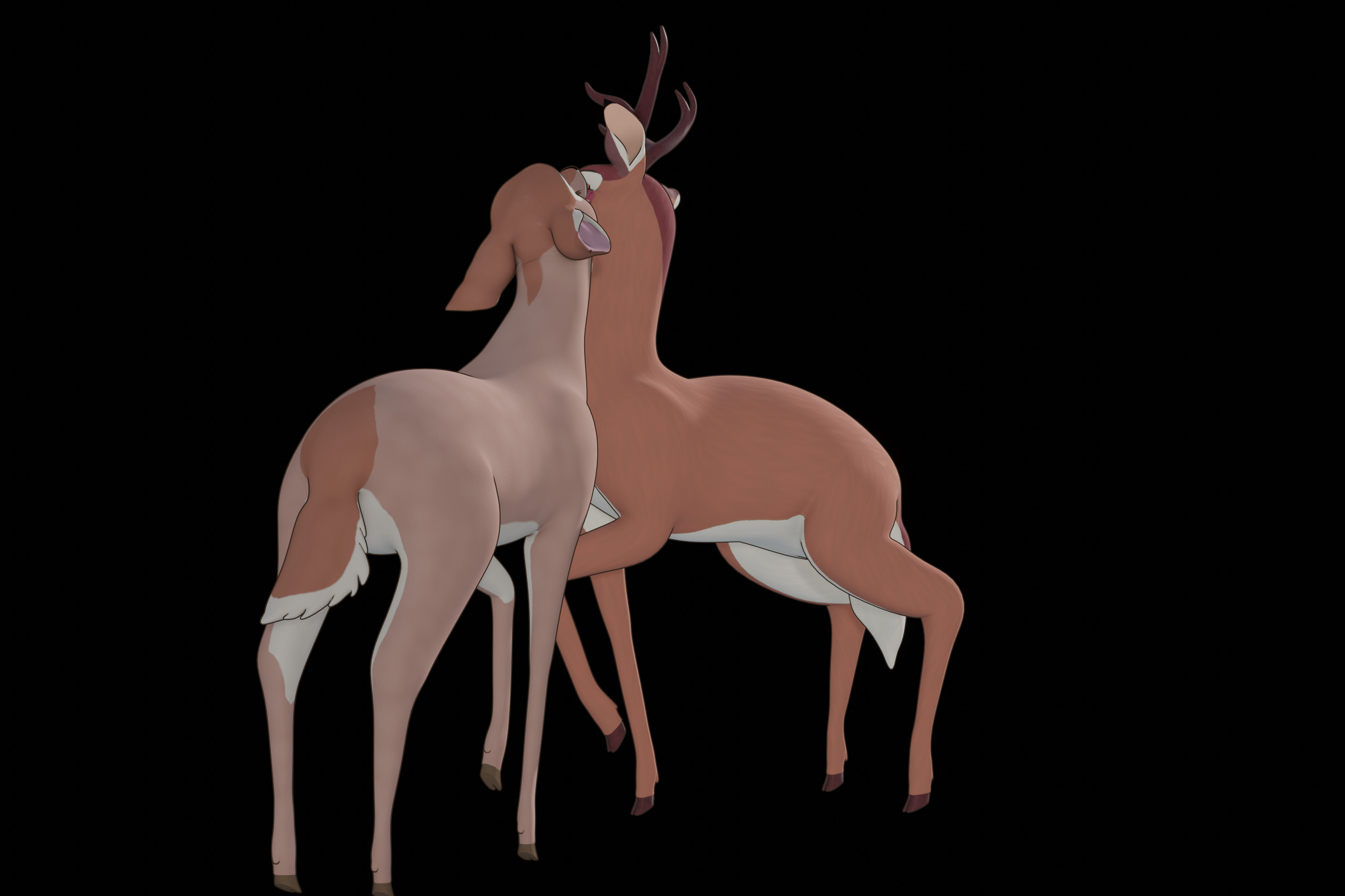Buck Bambi  Low-poly 3D model_68