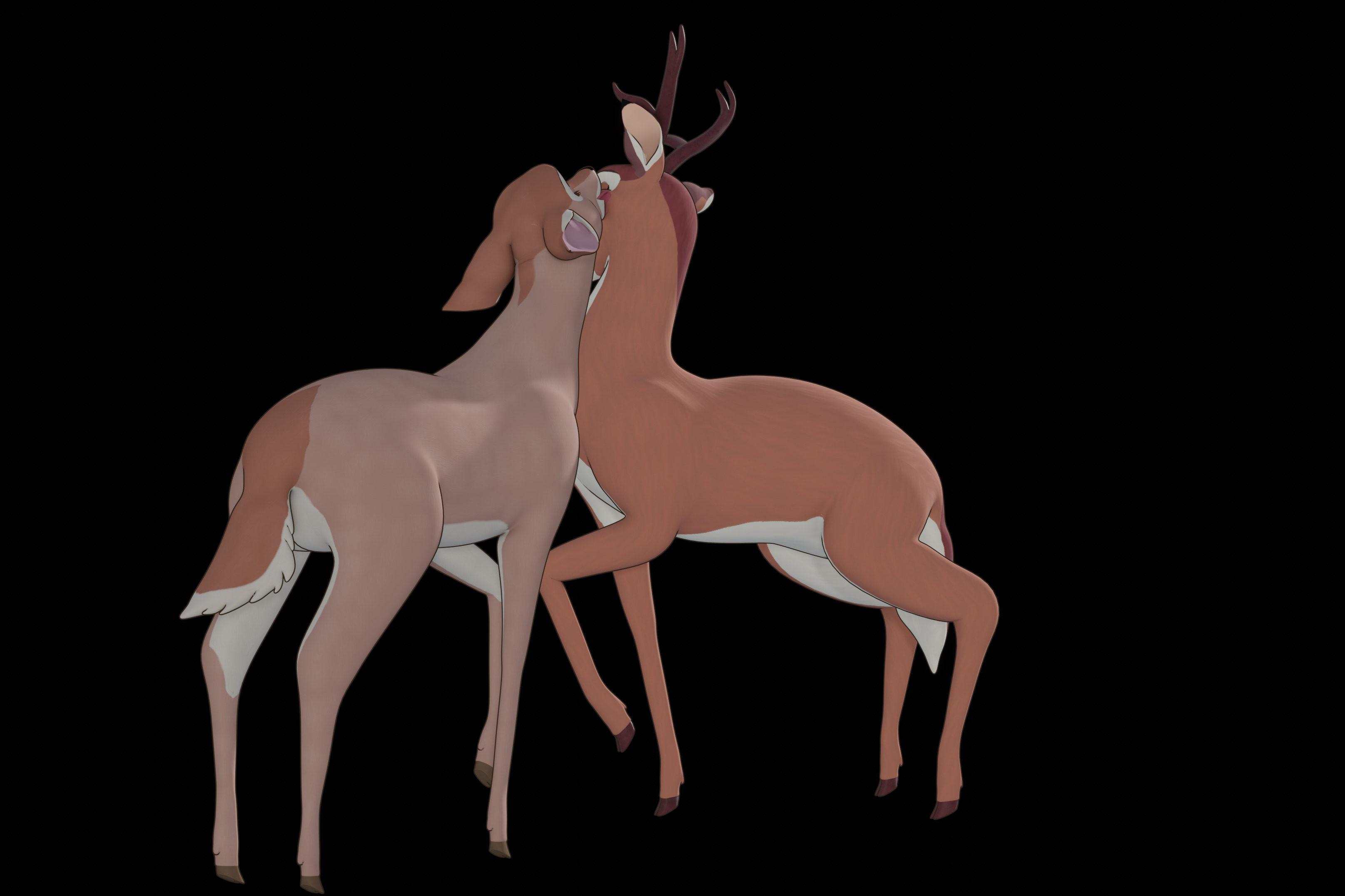 Buck Bambi  Low-poly 3D model_66