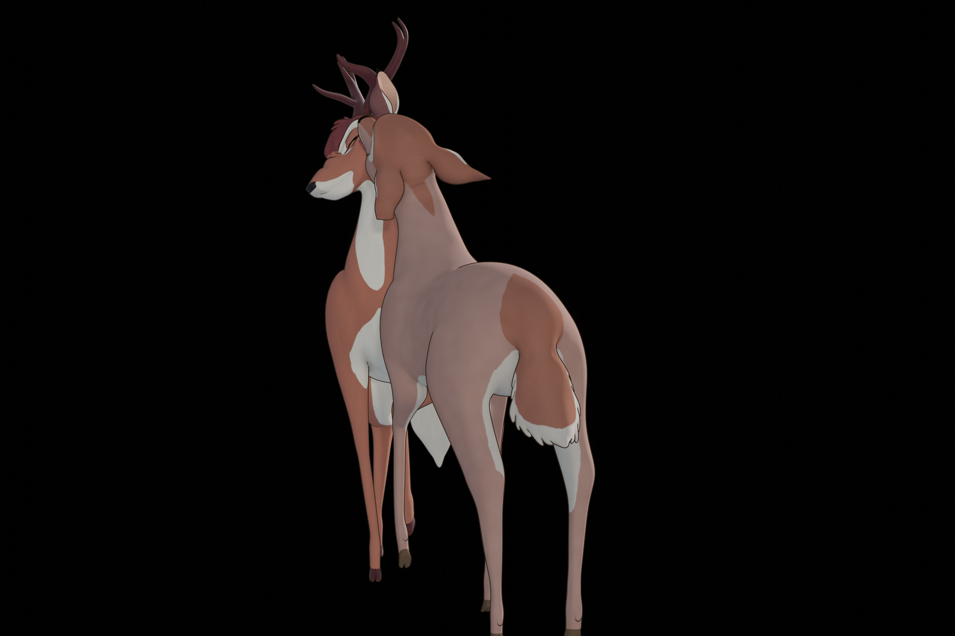 Buck Bambi  Low-poly 3D model_79