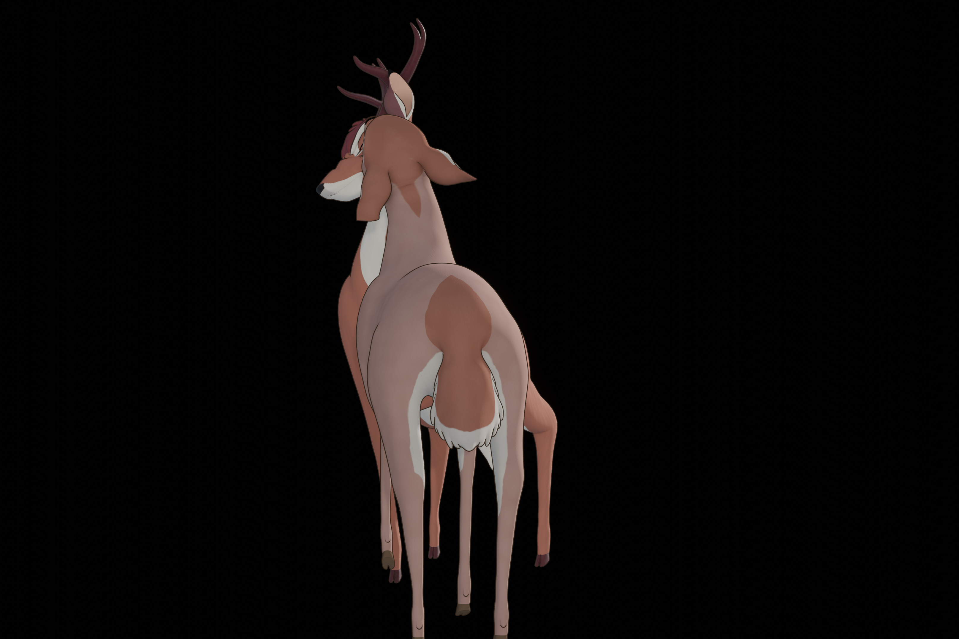 Buck Bambi  Low-poly 3D model_76