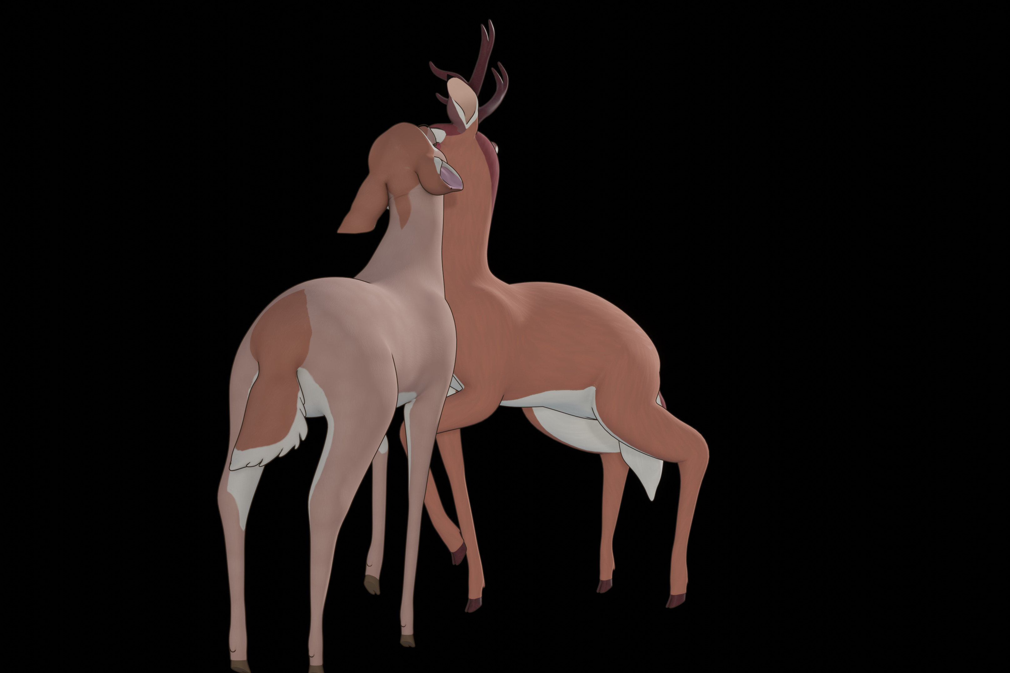 Buck Bambi  Low-poly 3D model_69