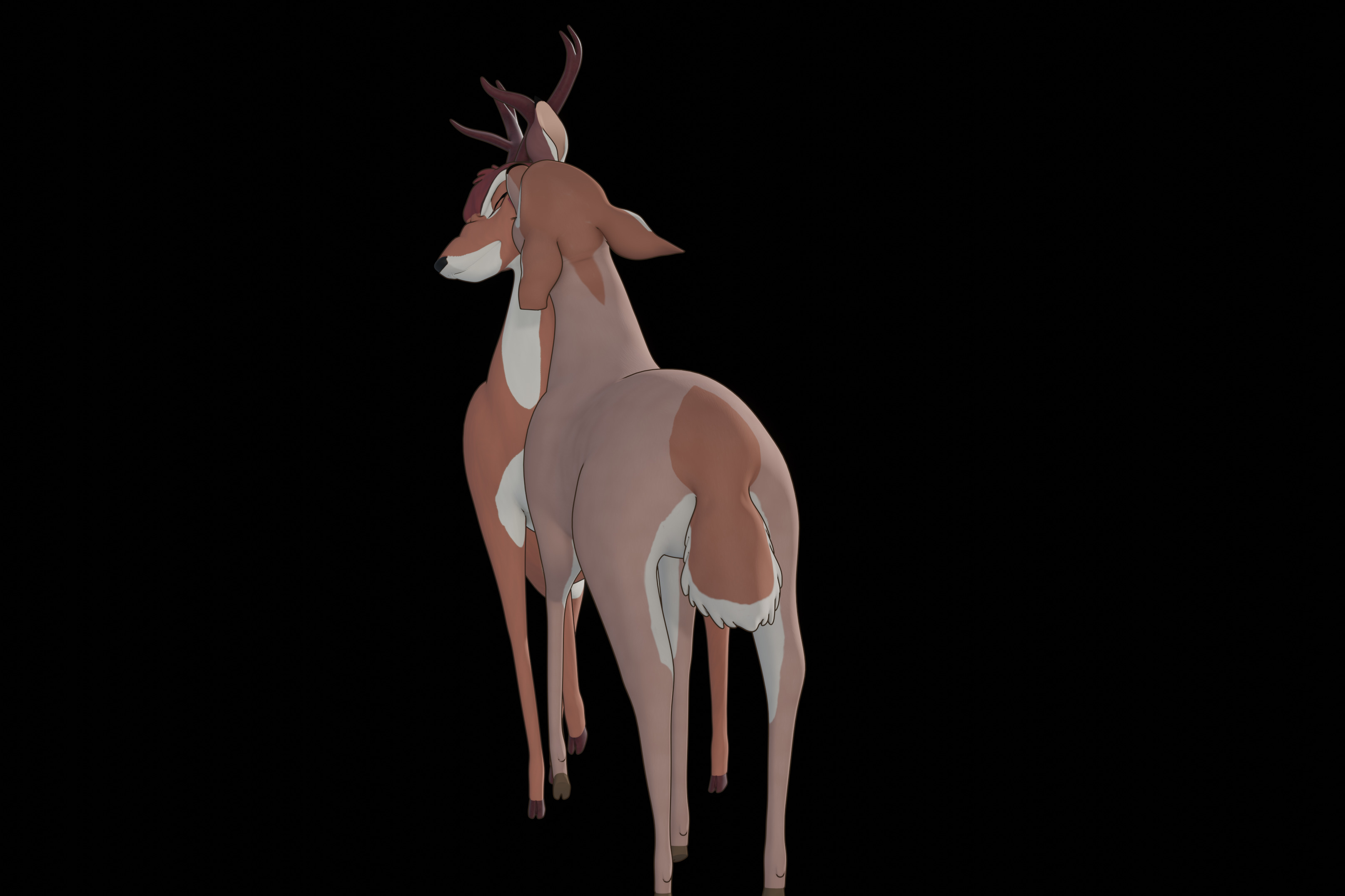 Buck Bambi  Low-poly 3D model_78