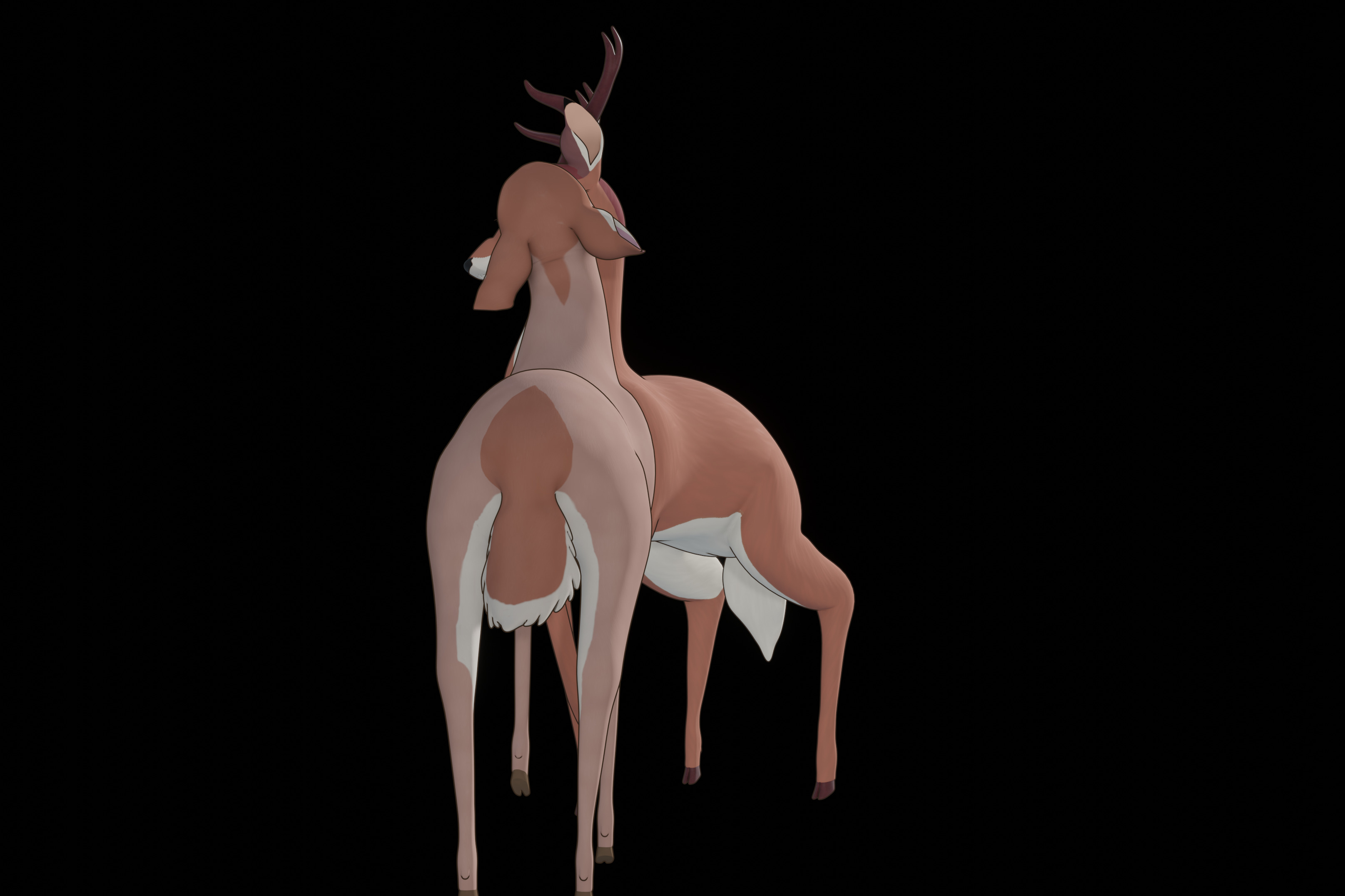 Buck Bambi  Low-poly 3D model_73