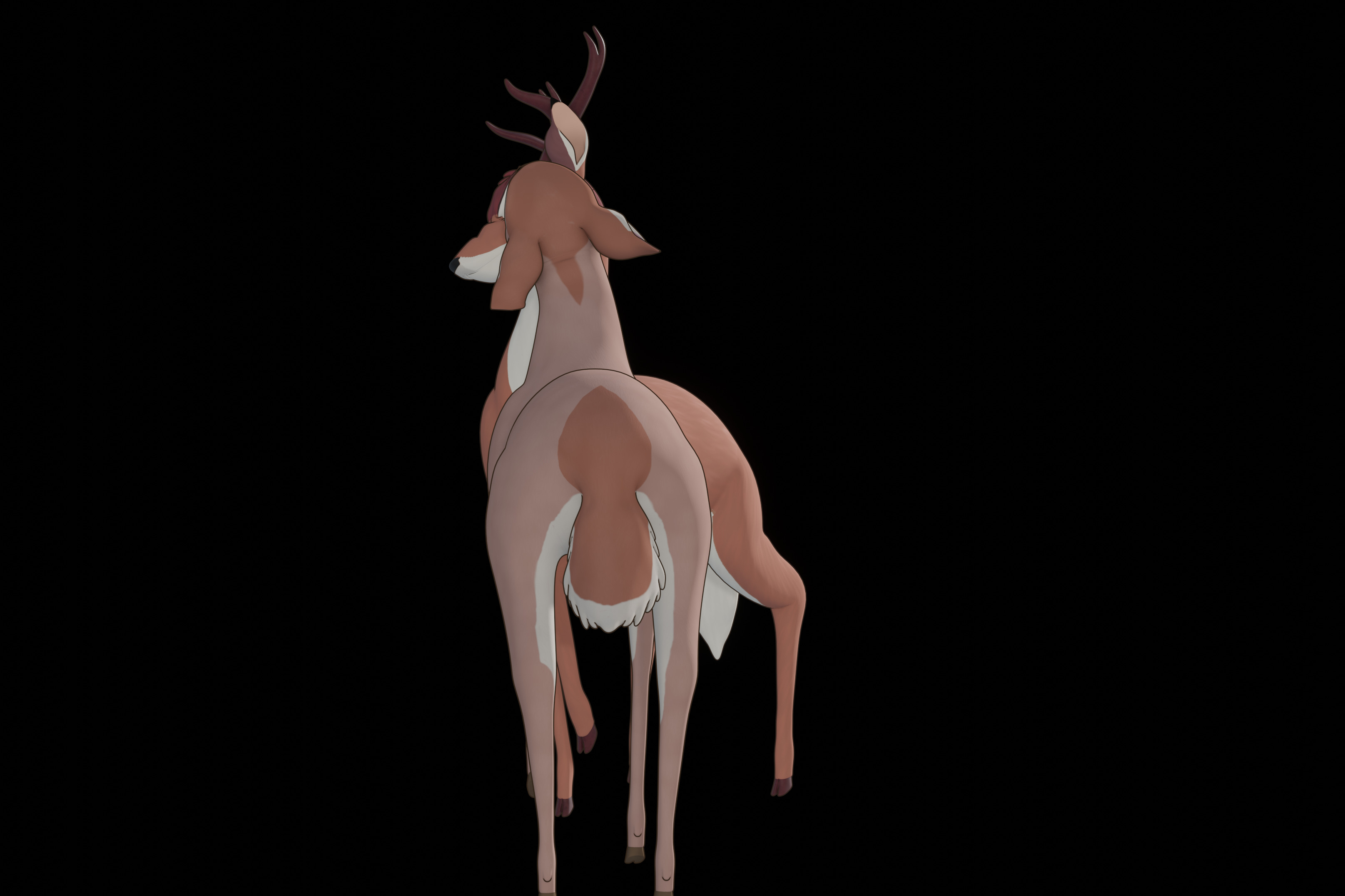Buck Bambi  Low-poly 3D model_75